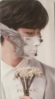 芙拓1.0 ver.D