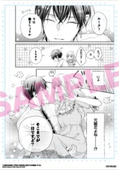 《第二次来到异世界、曾是少年的他成为了溺爱的年长骑士》-FLOS COMIC创刊5周年B6复制原画