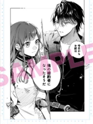 《在异世界被姐姐夺走了名字》-FLOS COMIC创刊5周年B6复制原画