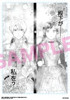 《逆行的恶役大小姐、在不知为何失去了魔力之后变成了深闺大小姐》-FLOS COMIC创刊5周年B6复制原画