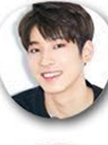 日本场周扇子 圆