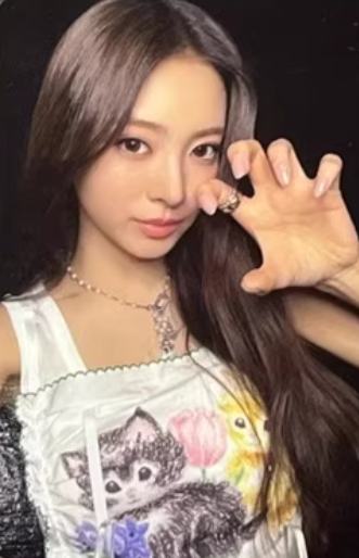 wf幸运卡anna