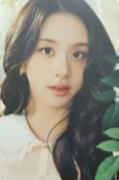 通常盘专卡 彩 ver.B