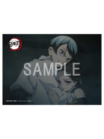 珠世&愈史郎2-灶门炭治郎立志篇罗森打印相卡