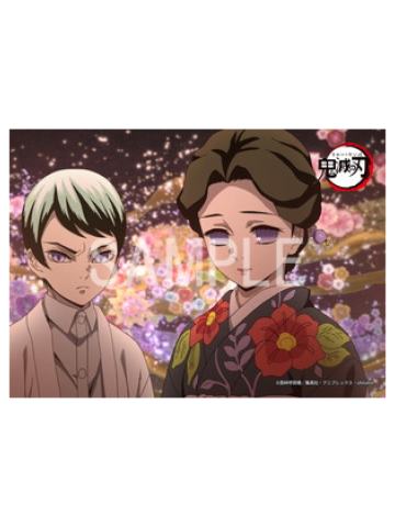 珠世&愈史郎1-灶门炭治郎立志篇罗森打印相卡