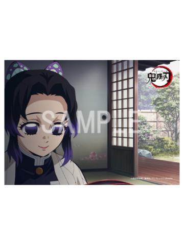蝴蝶忍-柱训练篇罗森打印相卡