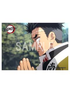 悲鸣屿行冥-柱训练篇罗森打印相卡
