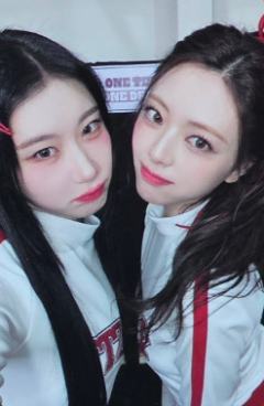 四期会员礼 领娜