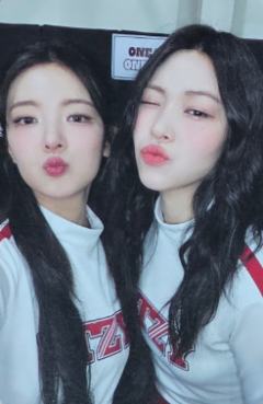 四期会员礼 粒溜