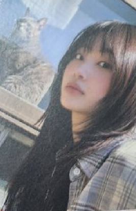 gray版专卡 ver.C