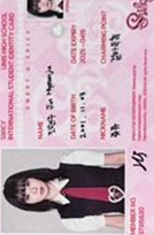 archive版id卡 贤珠