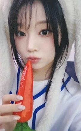 jp2.0 dohee 线下ver.
