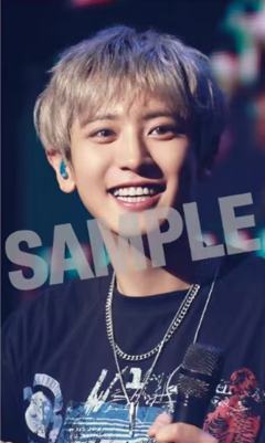 日巡DVD hmv
