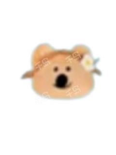 毛绒扁扁-K