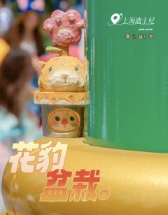 花豹盆栽