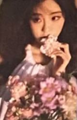【希少本】美麗島雜誌40週年復刻版（4冊）/美丽岛杂志40周年复刻版（4册） 美麗島雜誌- 人氣推薦- 2025年8月| 露天市集
