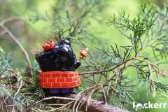 转运黑熊YOYO-资料图
