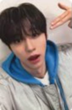 jp预售7