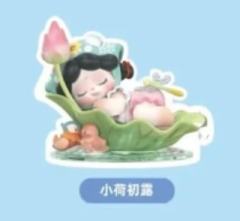 SSR-小荷初露