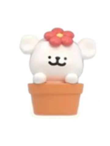 小花盆马尔济斯