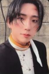 mp预售1