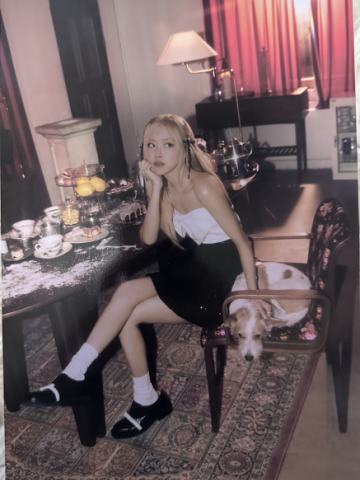 HANK WITH ROSIE 大照片 ver.B