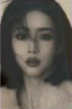 尼龙杂志小卡 ver.A