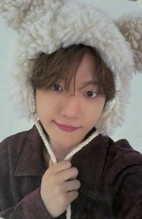 el试听会 泰迪熊ver.B