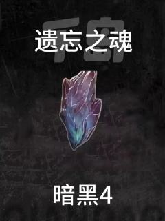 遗忘之魂