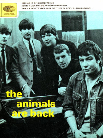 The Animals Are Back
