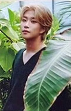 Green版专卡1 ver.B
