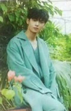 Green版专卡3 ver.B