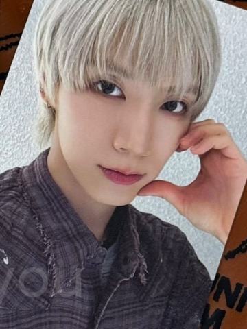 ms签售 ver.B