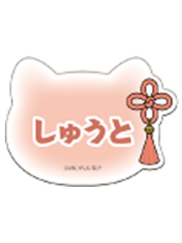 闪堂秋人-NAMJATOWN联名猫耳系列名牌