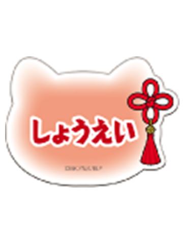 马狼照英-NAMJATOWN联名猫耳系列名牌