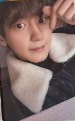 日巡DVD mumo ver.C