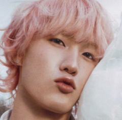 白翔太