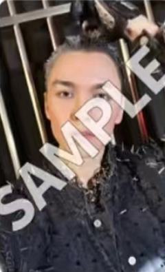 大阪wvs场限 率