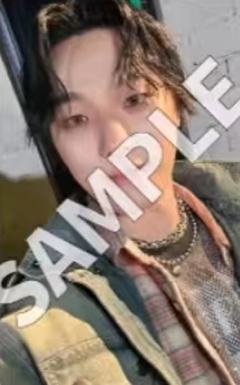埼玉wvs场限 灿