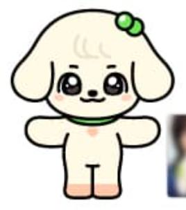 快闪30cm娃 安