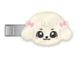 快闪发夹 安