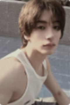 mega smini版专卡 安 ver.A