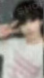 sc预售6
