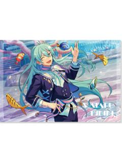 日日树涉-四星星奏PVC海报