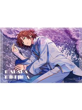 三毛缟斑-四星星奏PVC海报