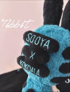 Tibbit Ban Plus 蓝-资料图