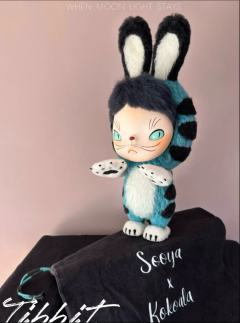 Tibbit Ban Plus 蓝