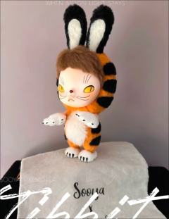 Tibbit Ban Plus 橙-资料图