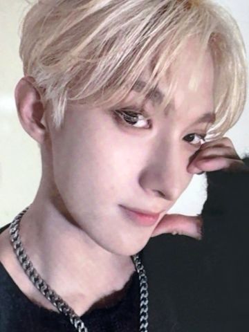 wvs预售 硕 克拉盘ver.