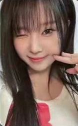 araise dohee 线下ver.